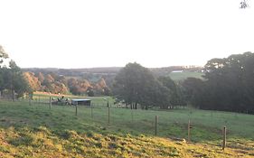 Patsy'S Gate - Red Hill South